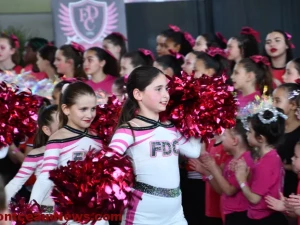 gala-feeling-10032612