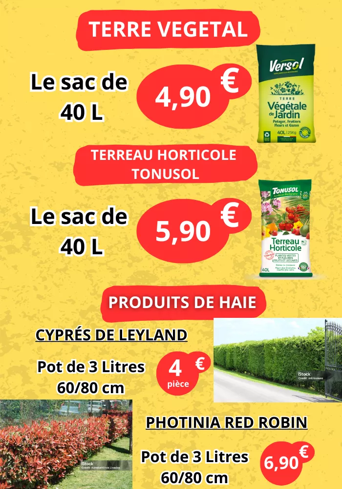 jardinerie-pouilloux-0203262