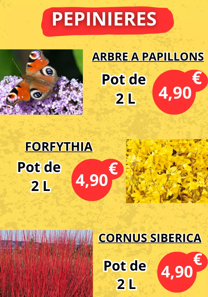 jardinerie-pouilloux-0203263