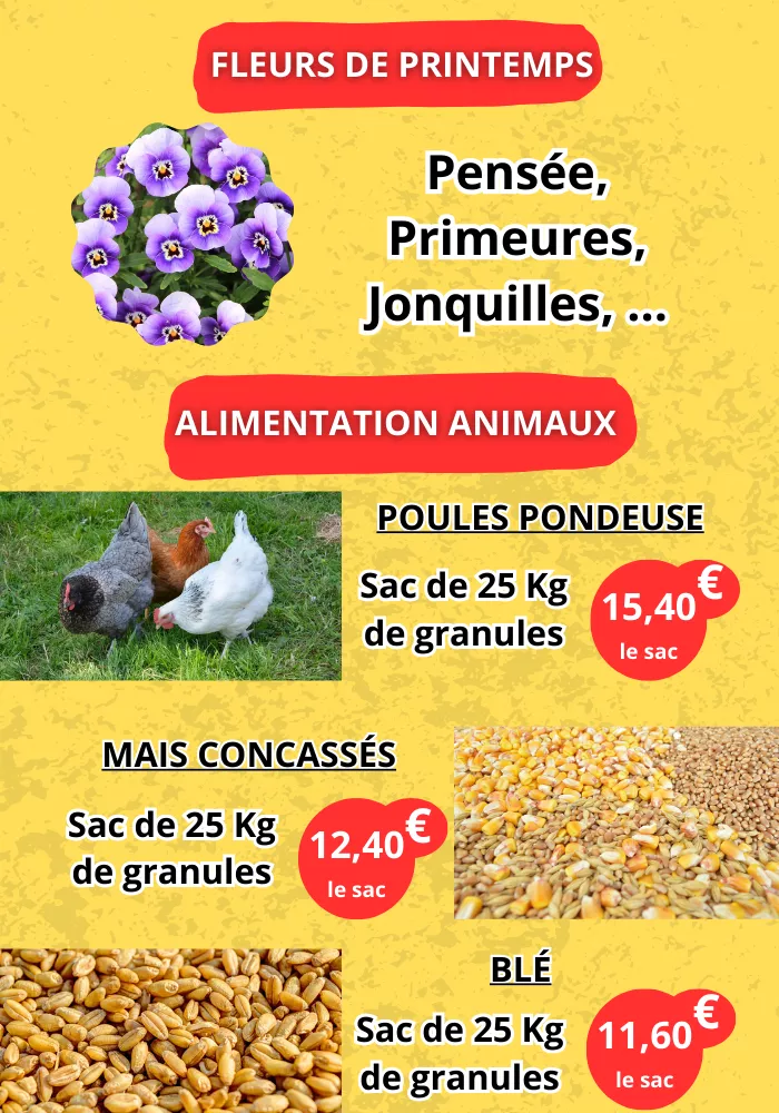 jardinerie-pouilloux-0203265