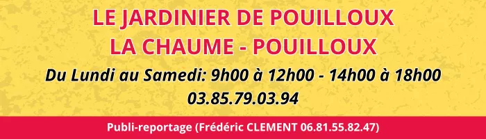 modif-pouilloux-0201266