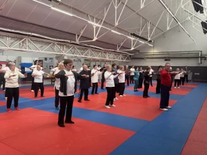 stage-qigong-1503264