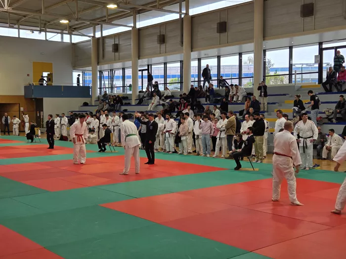 ad-judo-15042610