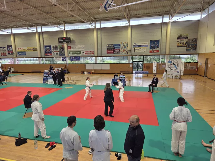 ad-judo-1504265