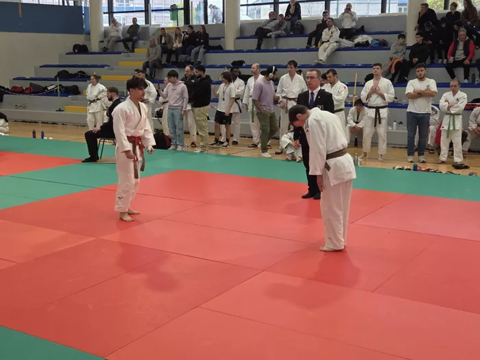 ad-judo-1504267