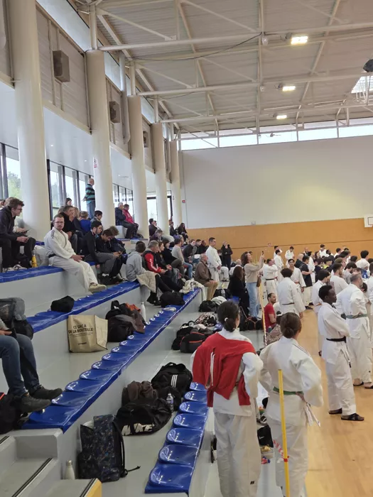 ad-judo-1504268
