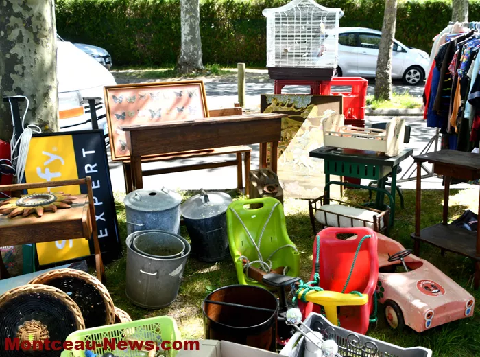 alternative-broc-2704262