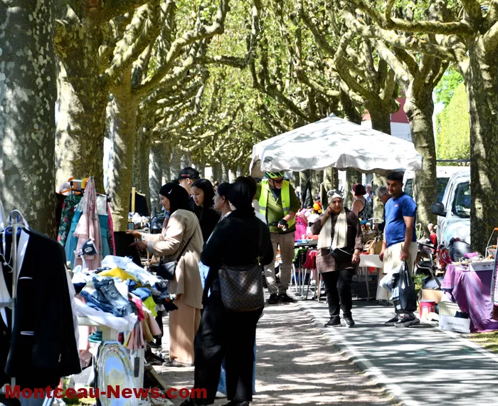 alternative-broc-2704263