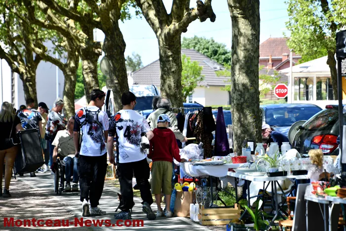 alternative-broc-2704264