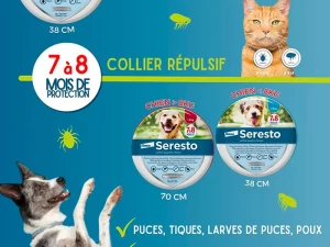 animal-villaverde-270426