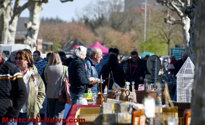 bouquinerie-06042610