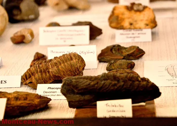 bourses-mineraux-1204263