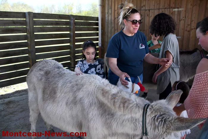 chasses-oeufs-parc-07042612