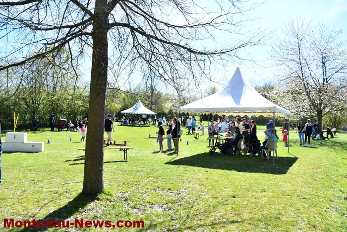 chasses-oeufs-parc-07042617