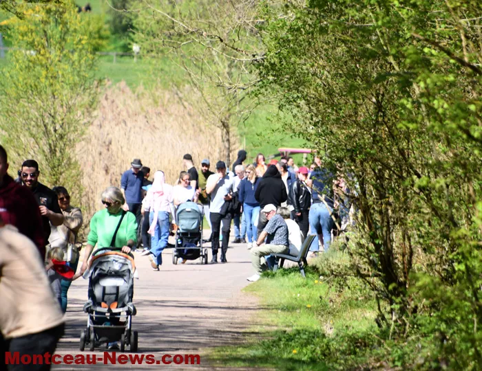 chasses-oeufs-parc-07042618