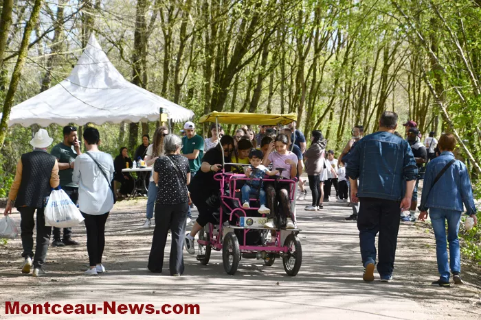 chasses-oeufs-parc-07042619