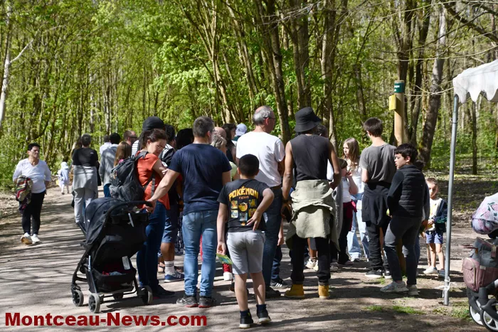 chasses-oeufs-parc-0704262