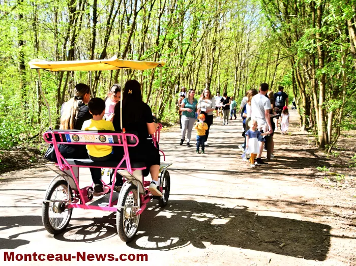 chasses-oeufs-parc-07042620