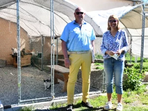 chatterie-montceau-0904262