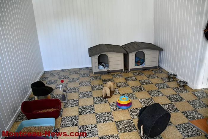 chatterie-montceau-0904266