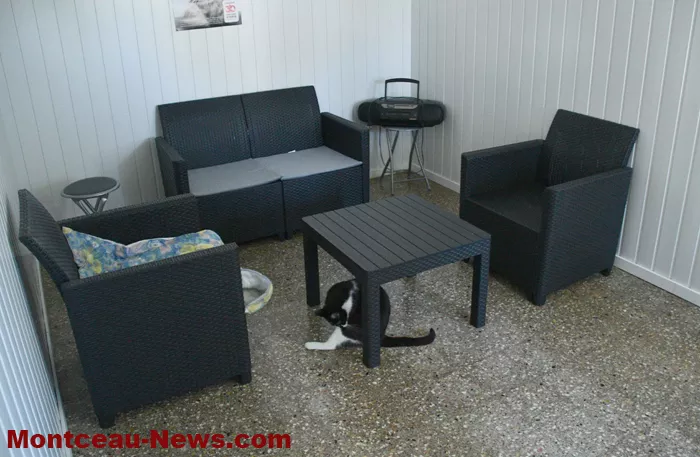 chatterie-montceau-0904267