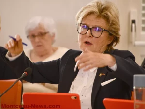 conseil-montceau-budget-2804267