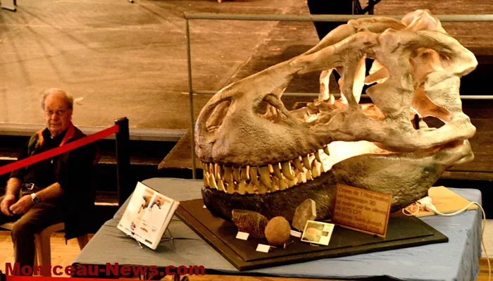 embarcadere-mineraux-12042612