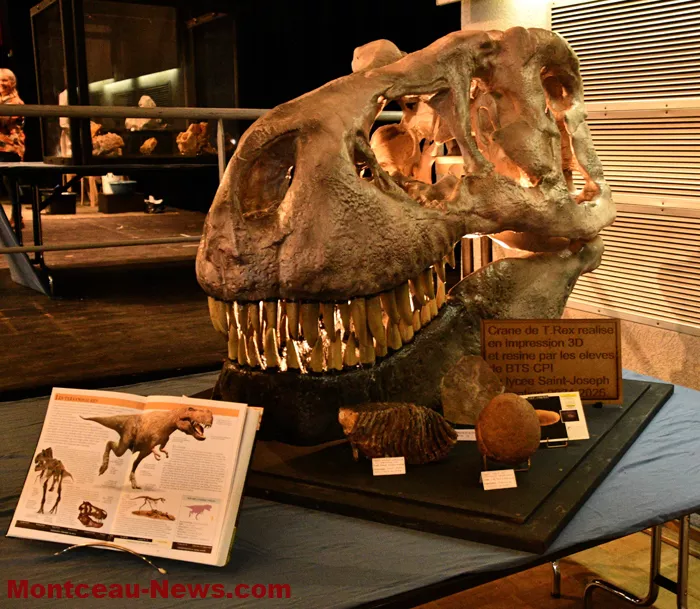 embarcadere-mineraux-1204262