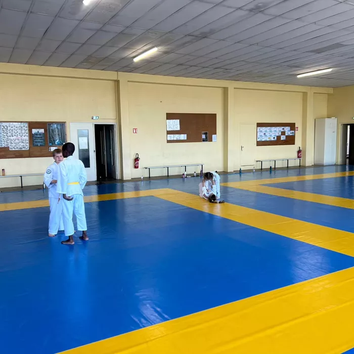 judo-1804265