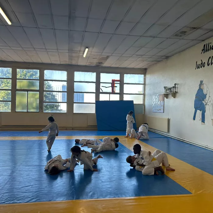 judo-1804266
