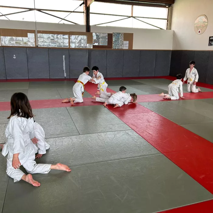 judo-1804267