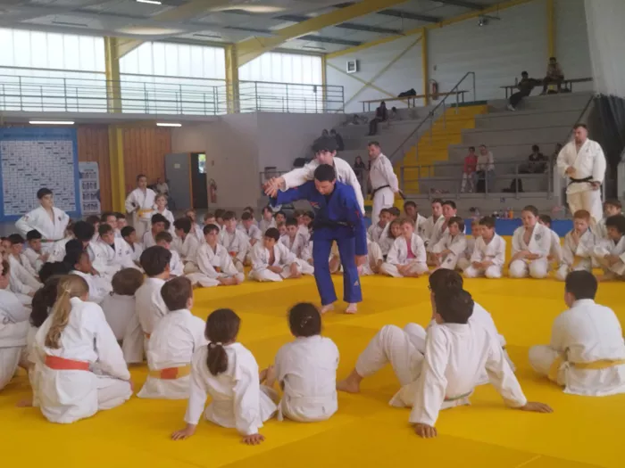 judo-ad-30042610