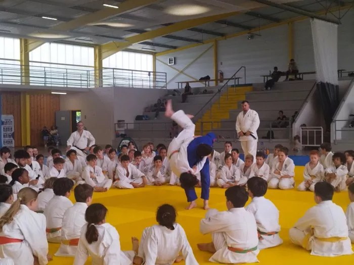 judo-ad-30042612