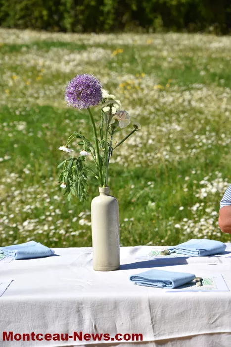 maison-perruson-2704264