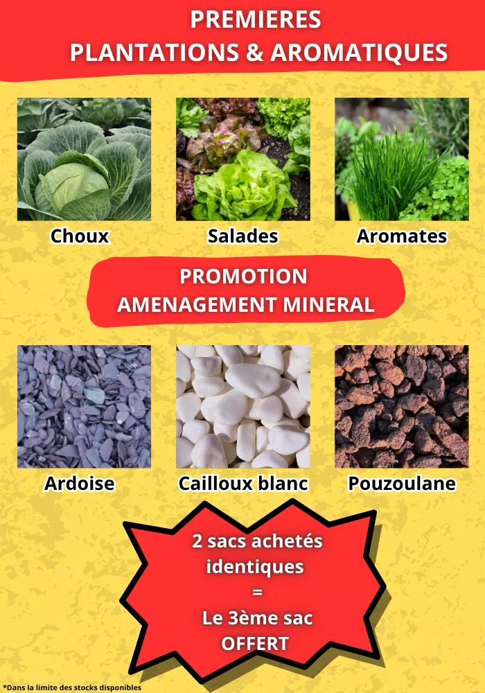 pouilloux-jardin-0404264