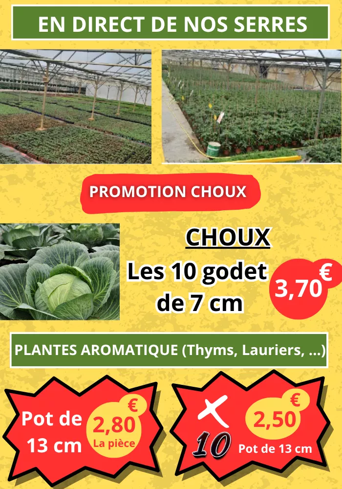 pouilloux-jardin-2504262