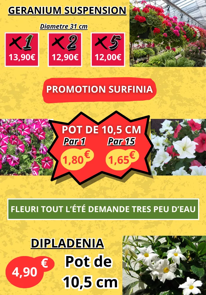 pouilloux-jardin-2504263