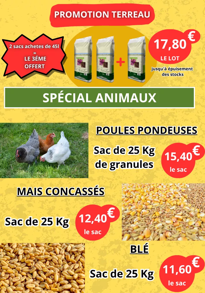 pouilloux-jardin-2504264