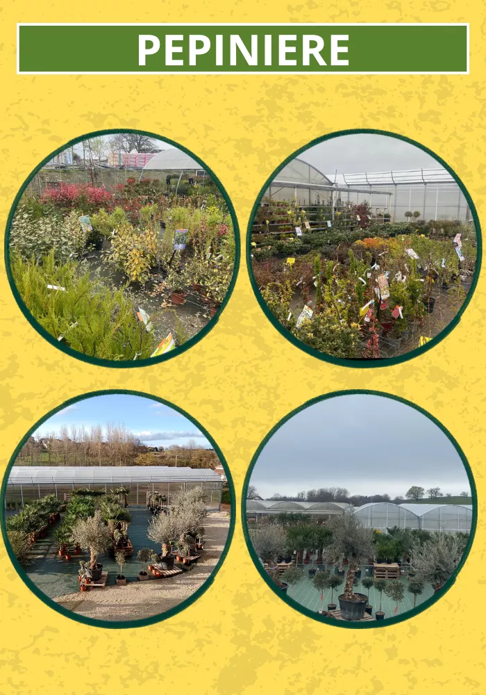 pouilloux-jardin-2504266