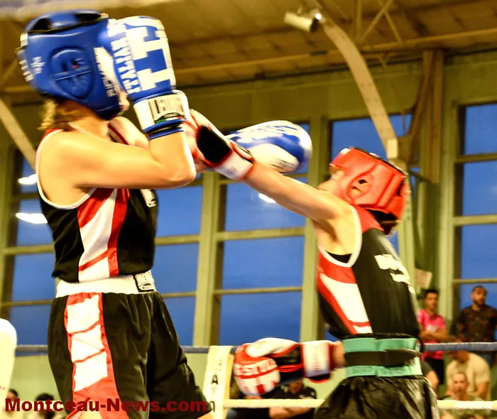 ring-box-montceau-19042628