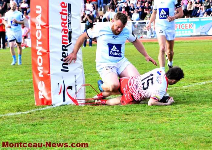 rugby-05042610