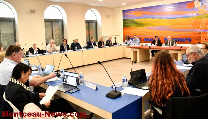 st-vallier-conseil-1504262