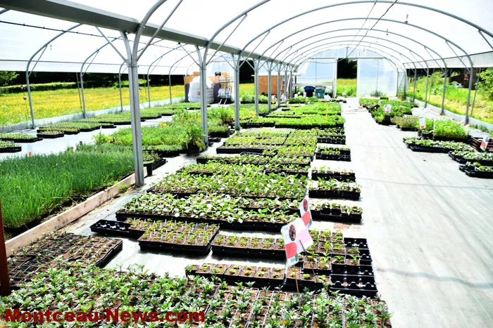 st-vallier-ferme-2704261