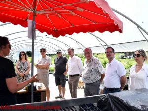 st-vallier-ferme-2704268