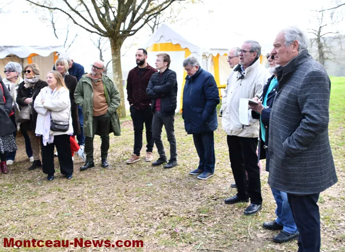 tulipe-lions-montceau-0404269