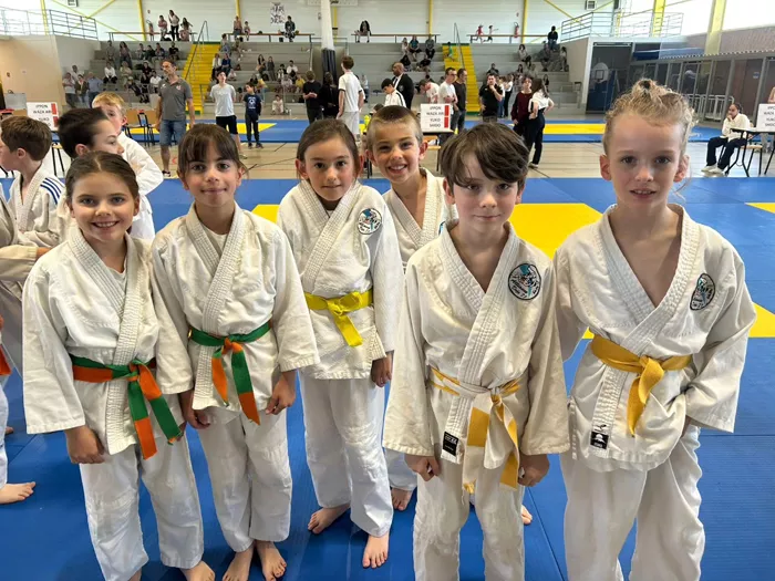 ad-judo-1305261