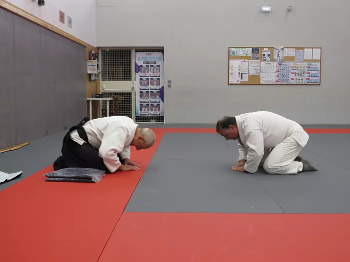 aikido-28052610