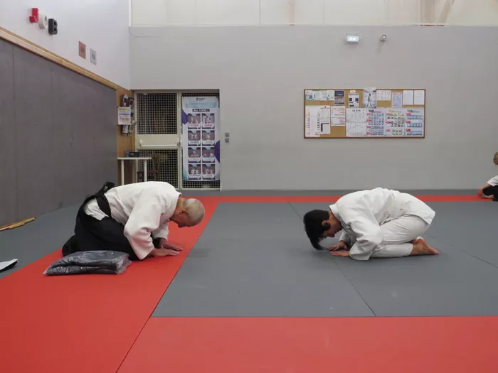 aikido-2805264