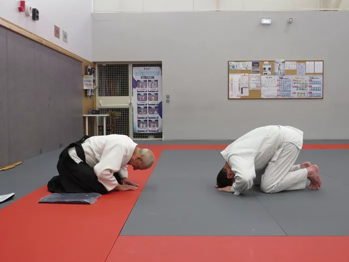 aikido-2805266