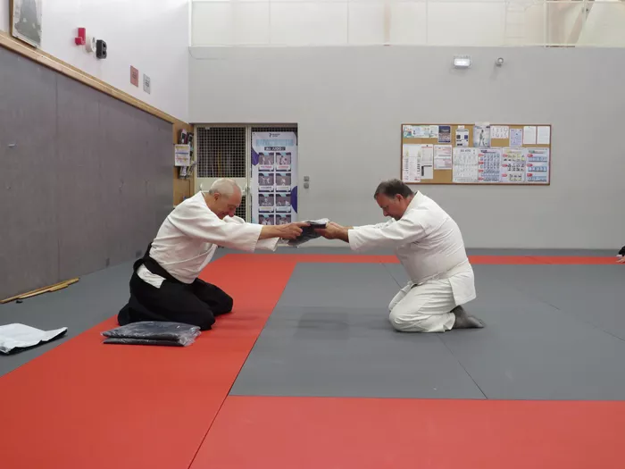 aikido-2805269